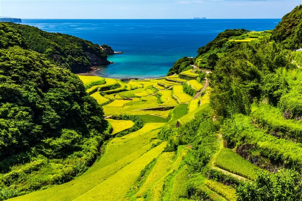 The Kyushu Travel Guide: Everything You Need to Know 33 Kyushu