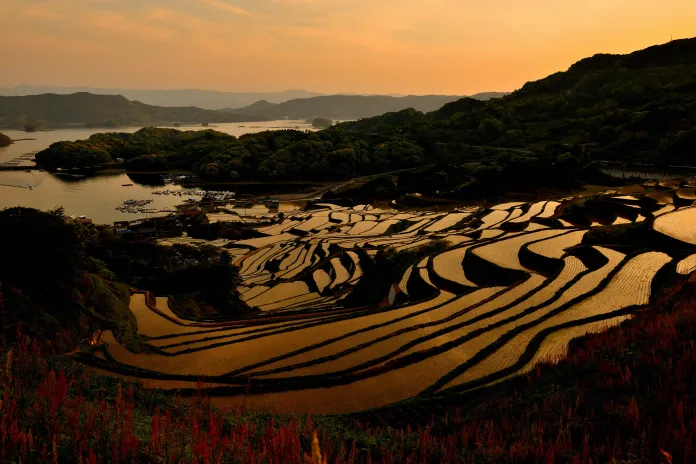 Hakata Ramen, Yatai Stalls, and Local Specialties in Kyushu 36 Kyushu