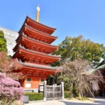 The Best Cities and Neighborhoods to Stay in Kyushu
