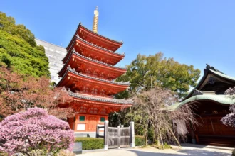 The Best Cities and Neighborhoods to Stay in Kyushu