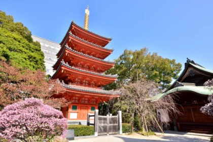 The Best Cities and Neighborhoods to Stay in Kyushu