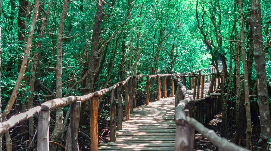 best places to visit in Zanzibar