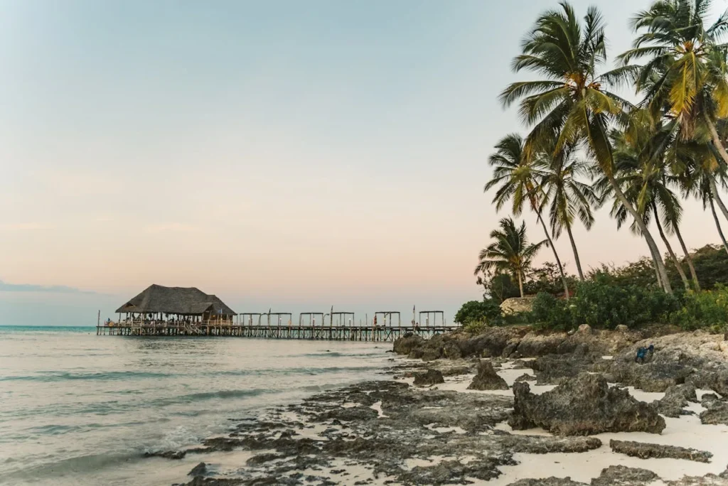 things to do in Zanzibar