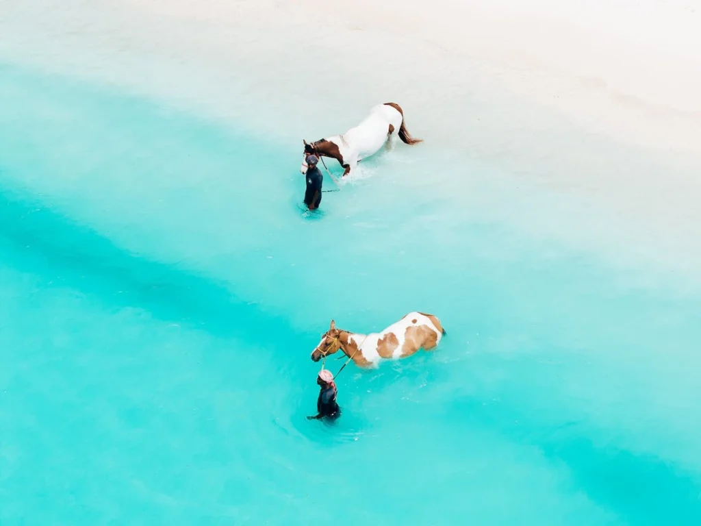 visiting Zanzibar