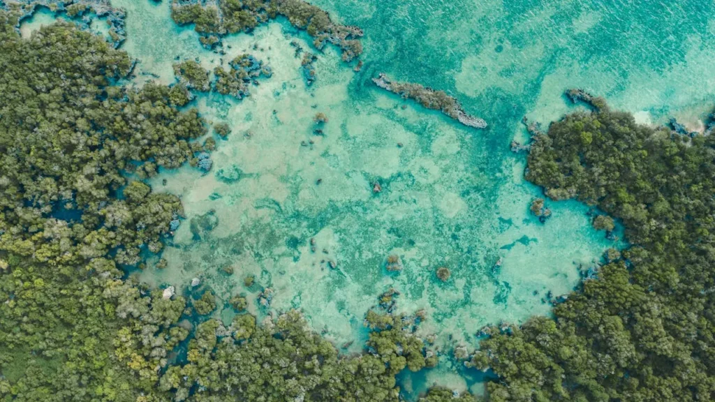 The Best Time to Go to Zanzibar Depending on the Weather and the Holidays 30 best time to visit Zanzibar