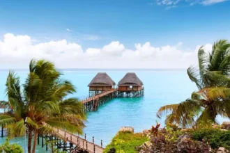 things to do in Zanzibar