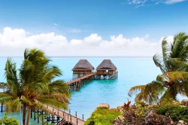 things to do in Zanzibar