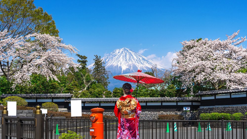 Kagoshima and Sakurajima Travel Guide 34 Kagoshima travel guide