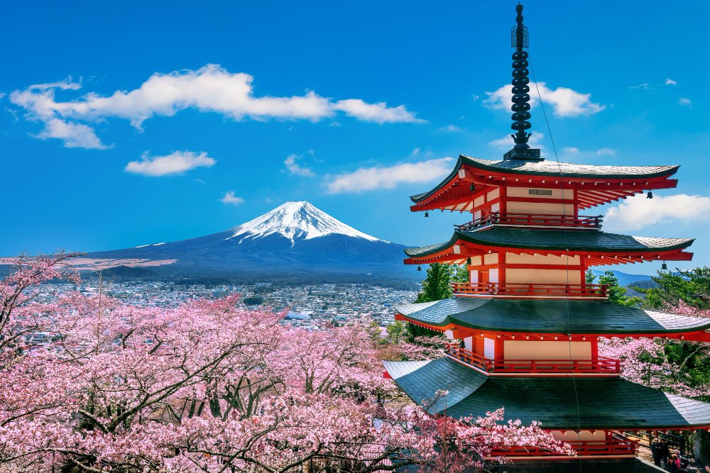 Kagoshima and Sakurajima Travel Guide 35 Kagoshima travel guide