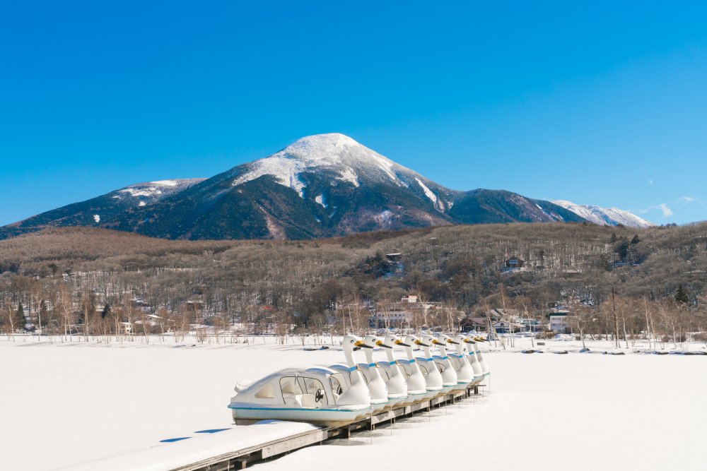 Kagoshima and Sakurajima Travel Guide 32 Kagoshima travel guide