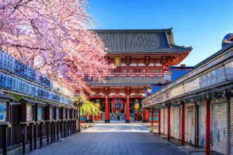 Fukuoka Travel Guide 5