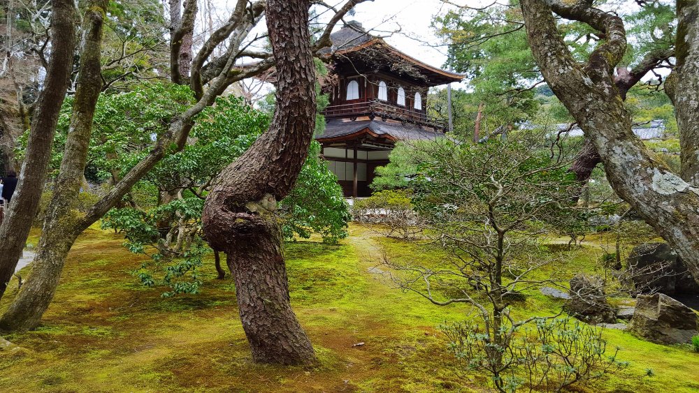 Kumamoto Travel Guide: The Castle, Mount Aso, and Local Food 31 Kumamoto travel guide