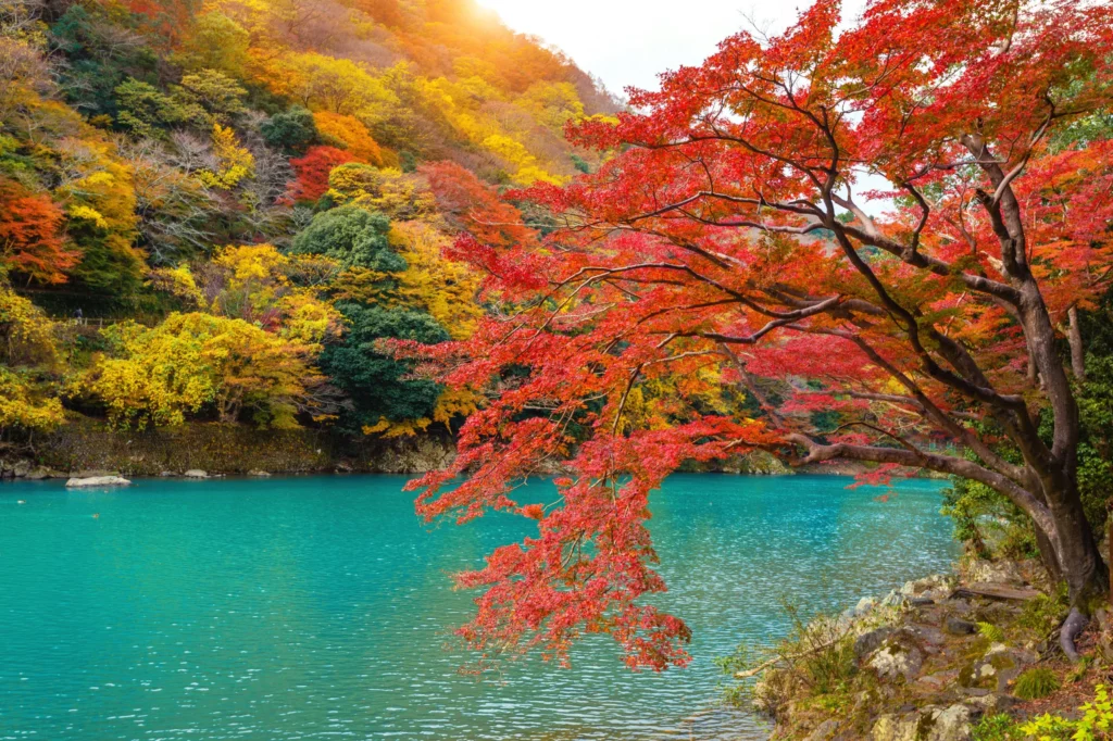 Top 10 Places to Visit This October: Embrace the Fall Vibes 29 Places to Visit This October