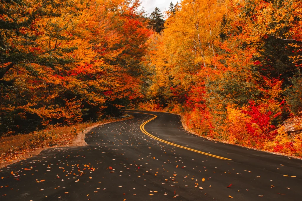 Top 10 Places to Visit This October: Embrace the Fall Vibes 28 Places to Visit This October