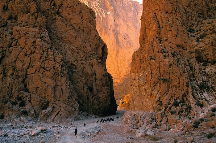 Things to Do in Tinghir and Todra Gorge