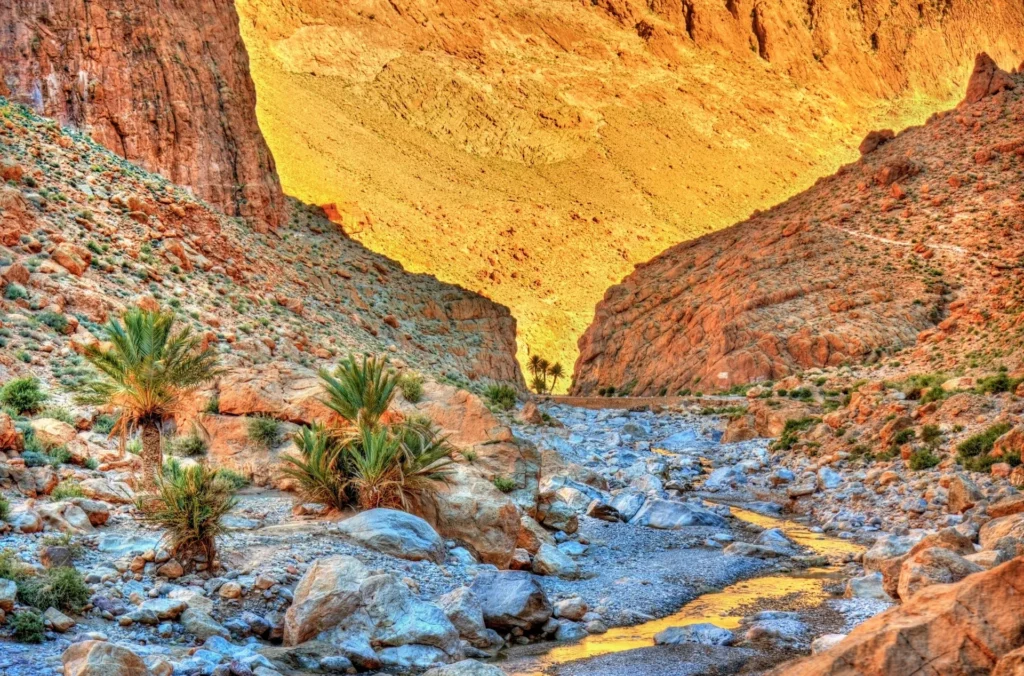 Things to Do in Tinghir and Todra Gorge