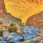 Tinghir and Todra Gorge 3