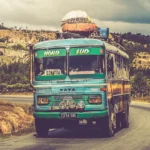 April Wildflower Road Trips in the USA 7