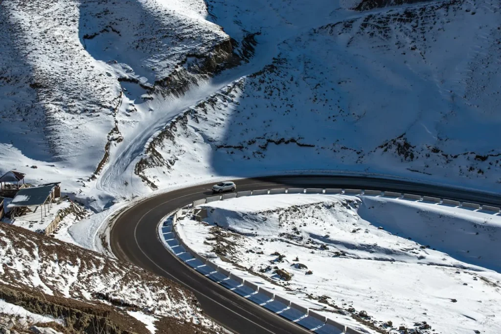 April Wildflower Road Trips in the USA