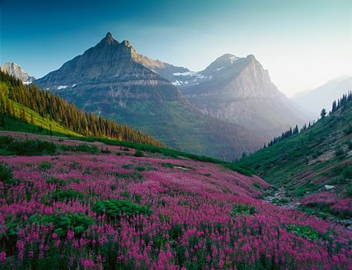 April Wildflower Road Trips in the USA