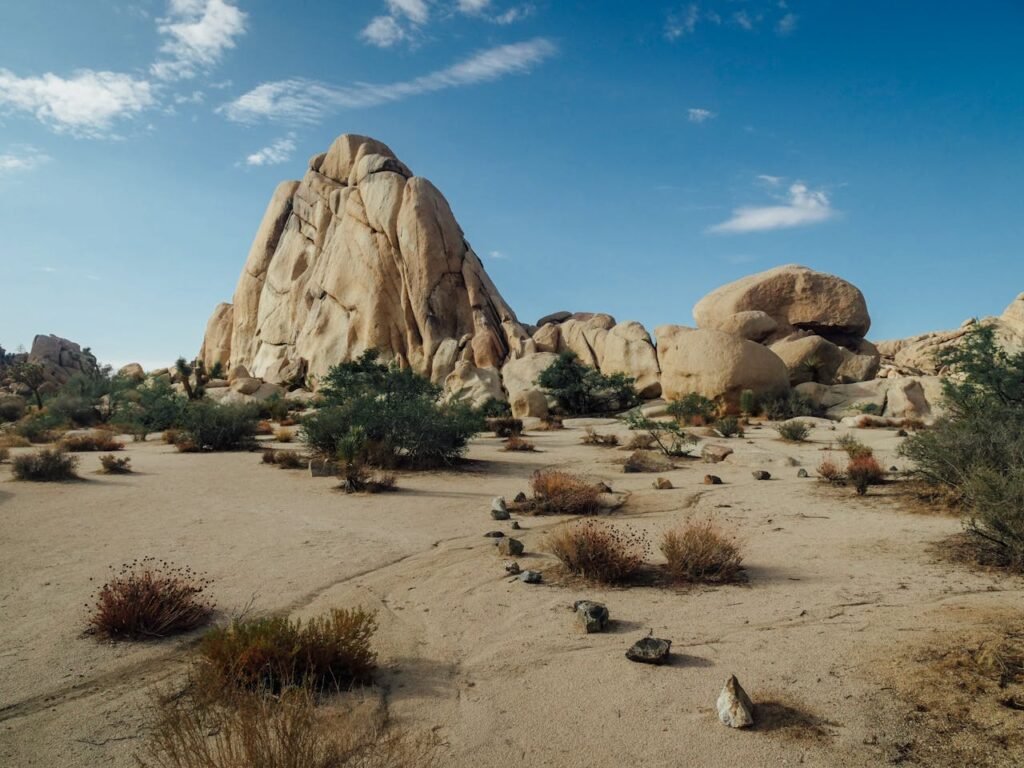 Best U.S. National Parks to Visit in April