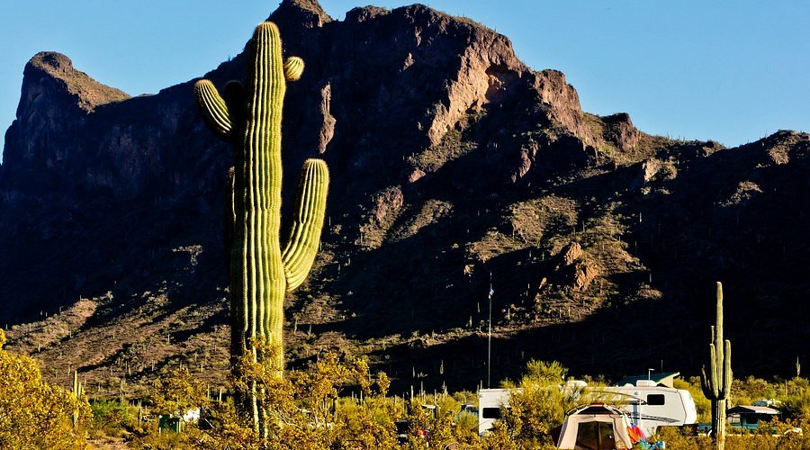 April Wildflower Road Trips in the USA