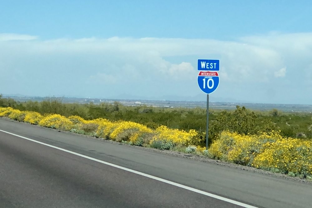 The Best Road Trips in the U.S. to Take in April 42 The Arizona Desert Bloom Route