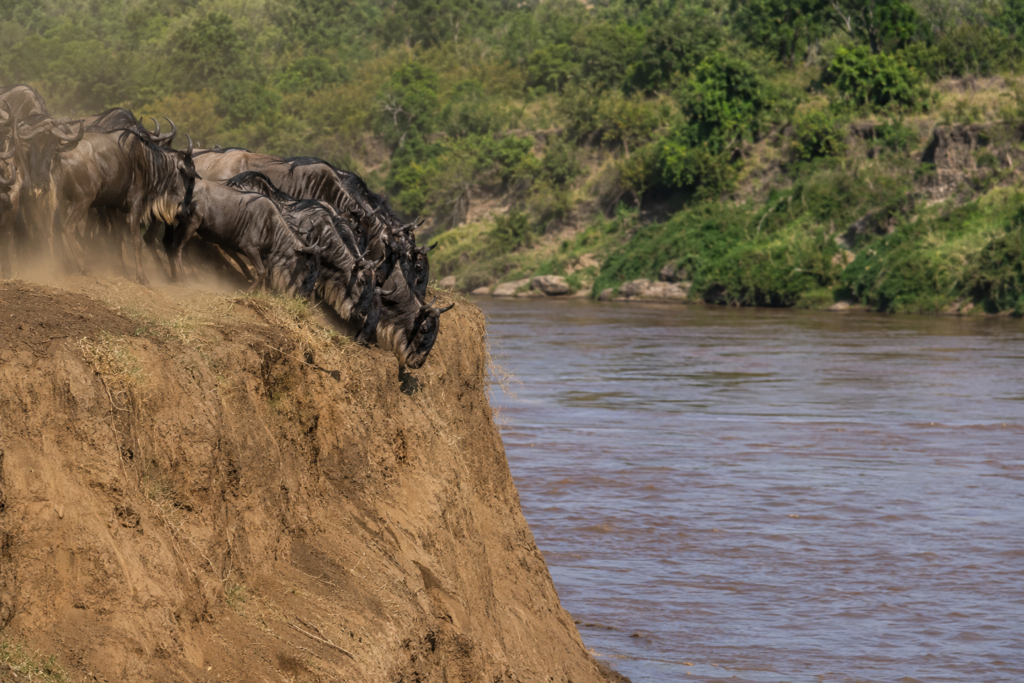 great migration august