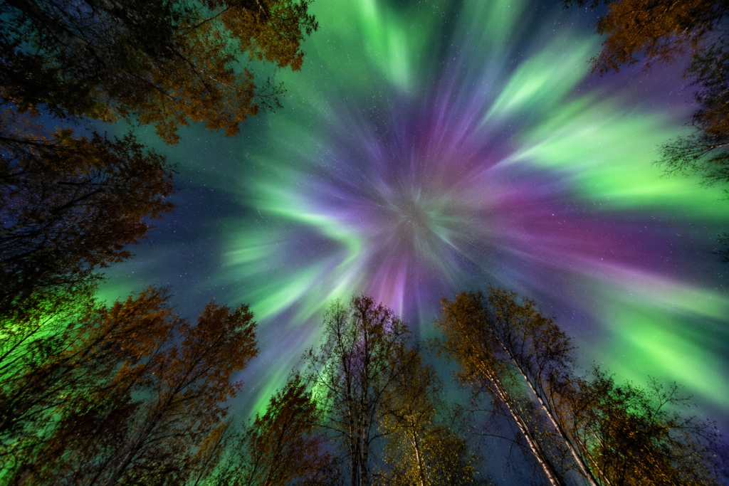 Autumn Aurora: Seeing the Northern Lights in September Without the Arctic Winter