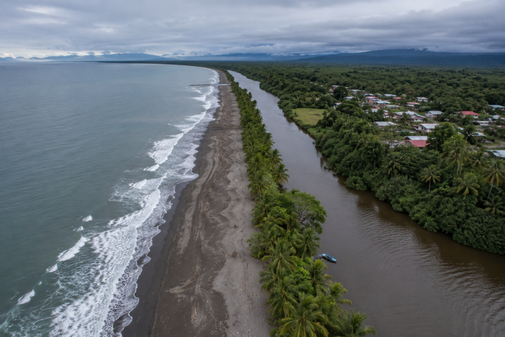Turtle Hatching in Tortuguero: August–October Nesting Season, Night Tours, and the Rules 13 Turtle Hatching in Tortuguero