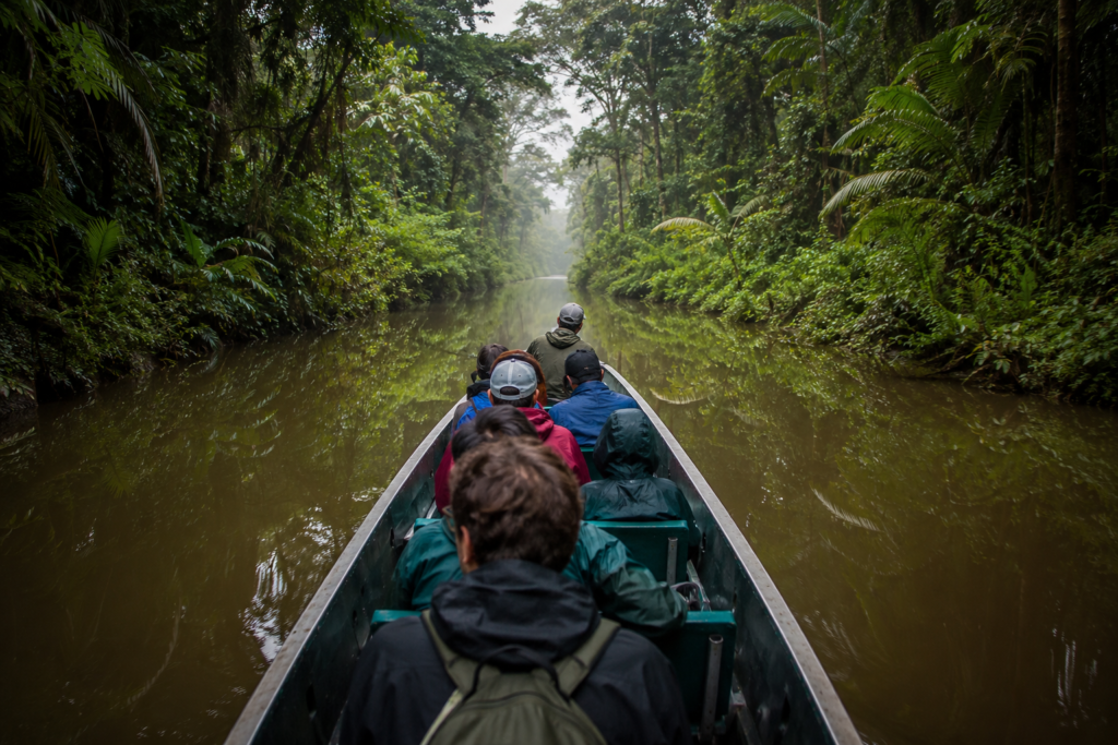 Turtle Hatching in Tortuguero: August–October Nesting Season, Night Tours, and the Rules 15 H2 3 getting there