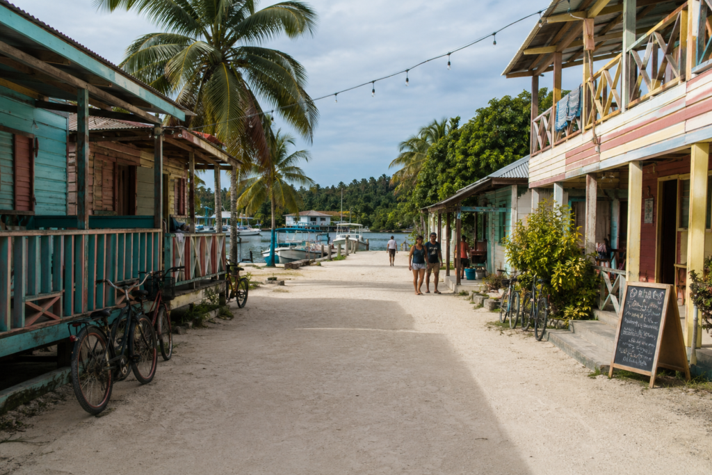Turtle Hatching in Tortuguero: August–October Nesting Season, Night Tours, and the Rules 17 Turtle Hatching in Tortuguero