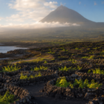 Pico Island in September: The Month Most Whale-Watching Guides Get Wrong