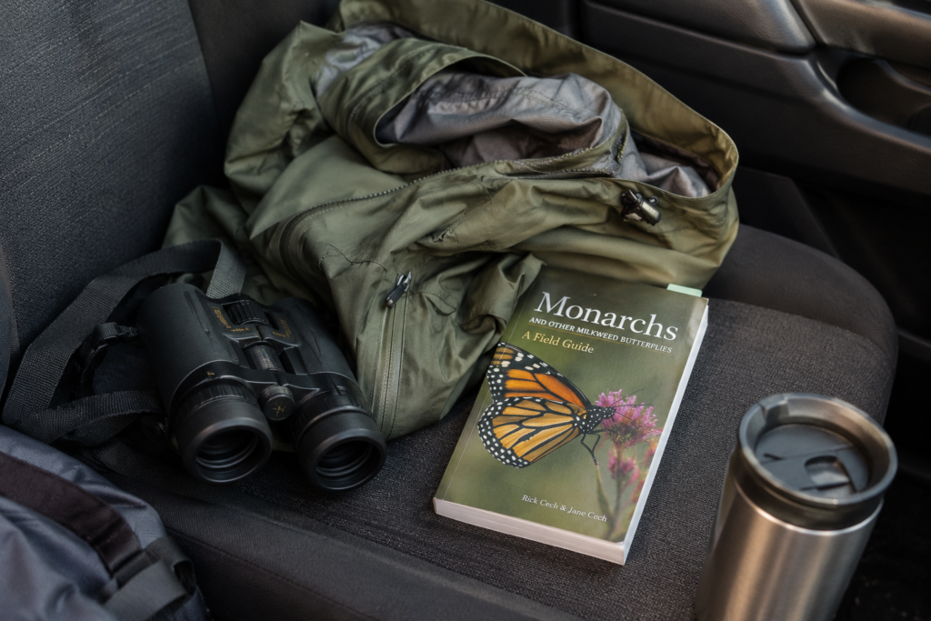 monarch butterfly migration in September