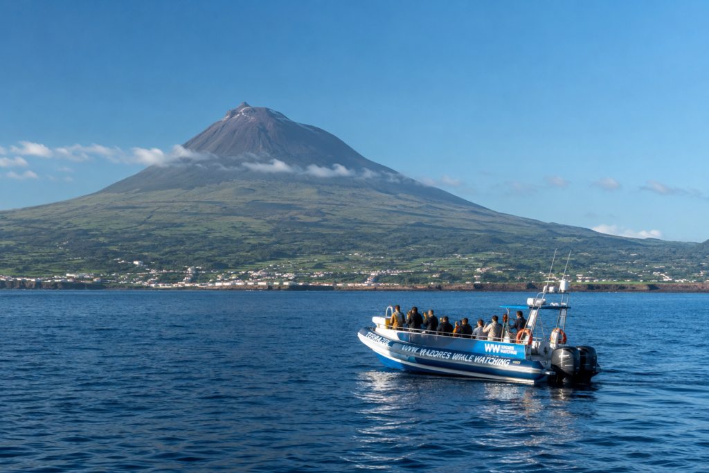 Small whale-watching boat off the coast of Pico Island