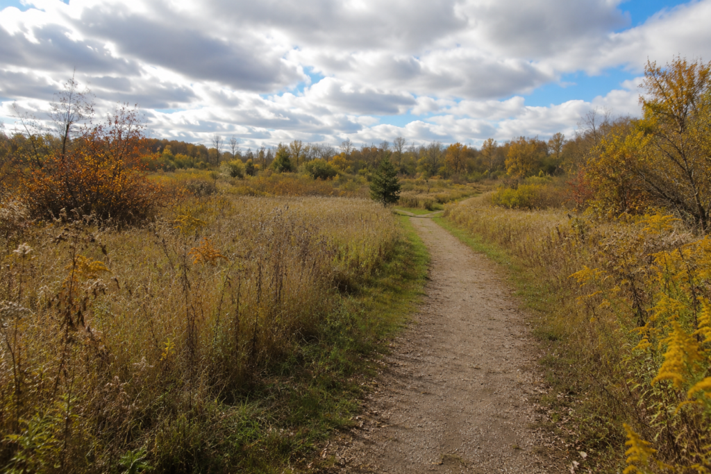 quiet meadow trail migration sit
