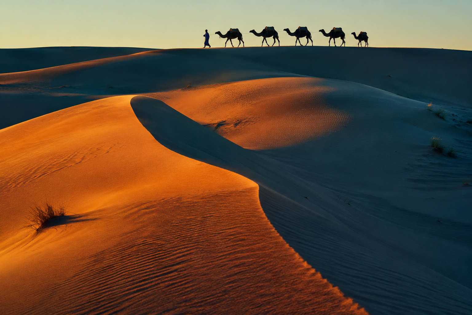 March travel — Moroccan desert dunes