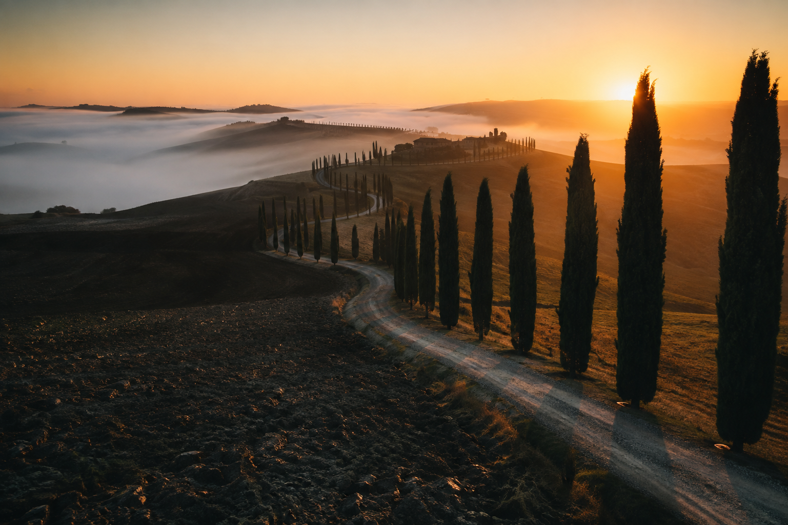 When to Go: Italy — Tuscan cypress road at sunrise