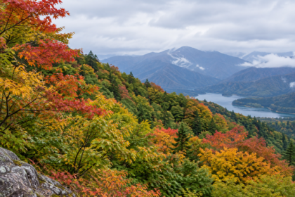 japan october mixed foliage hero