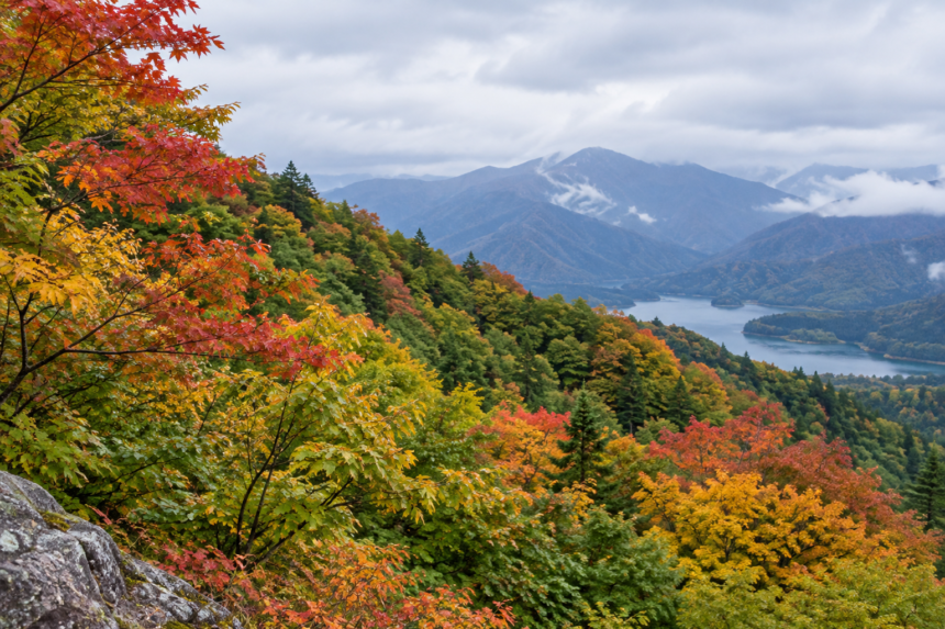 japan october mixed foliage hero