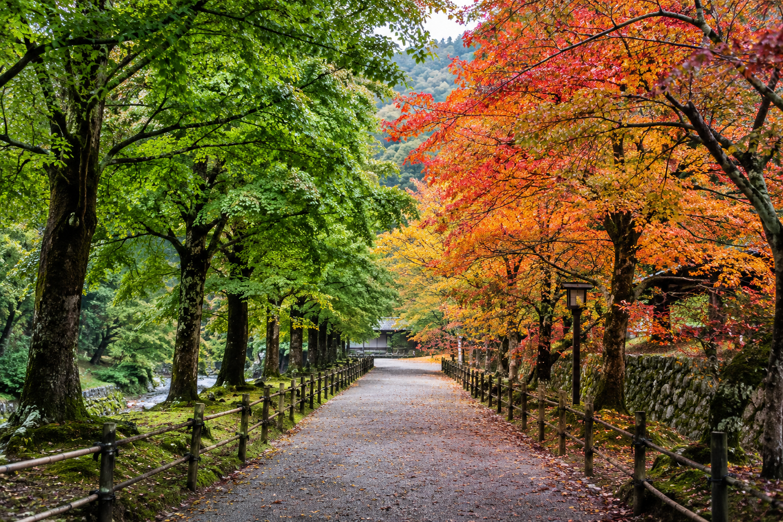 A path where leaves turn from green to autumn color, showing the seasonal transition